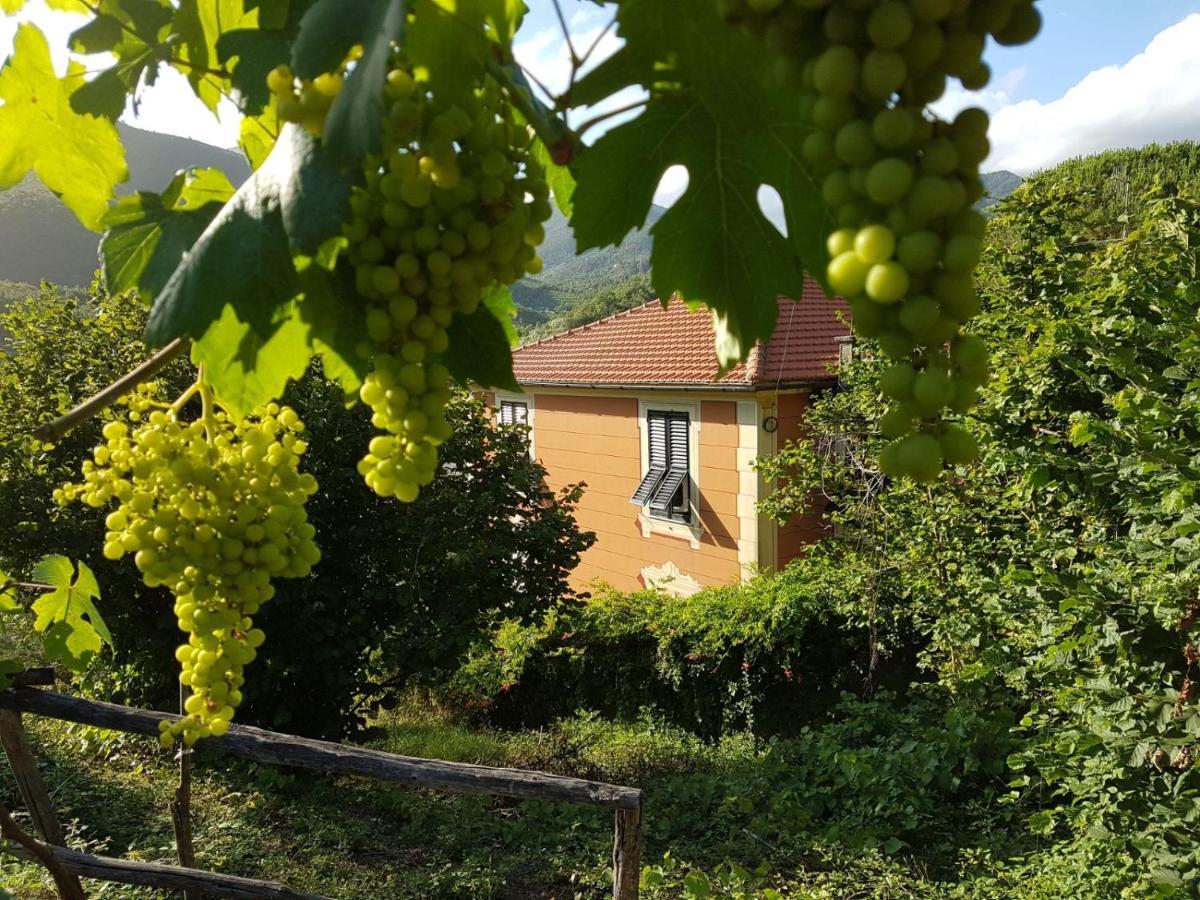 B&B Casa Del Priore Sestri Levante Bagian luar foto